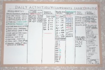 Charting, Scheduling, and Records Keeping